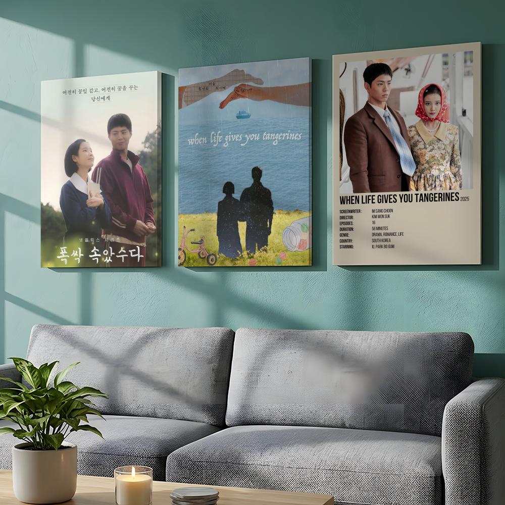 Korean TV When Life Gives You  - Modern Korean Lifestyle 评论和价格